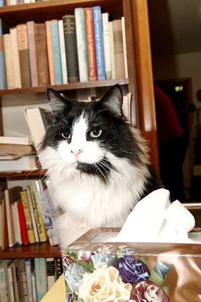 ddb 20051124 020-029