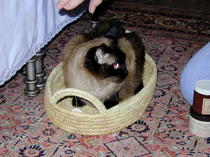 pddb 20051224 010-003