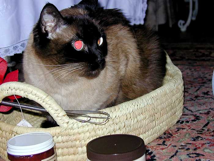 pddb 20051224 010-005