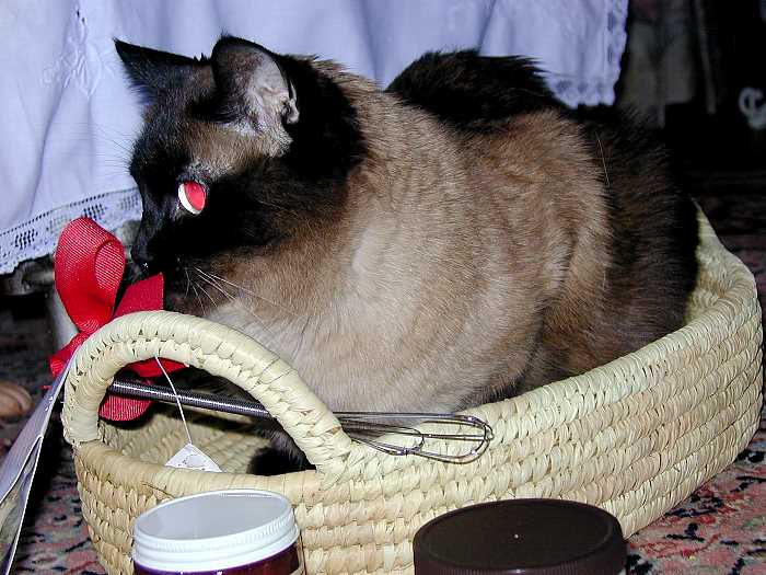 pddb 20051224 010-006