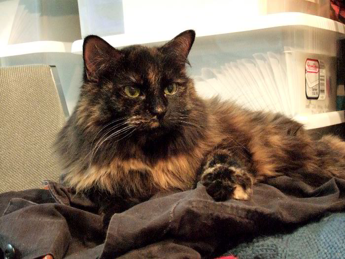 ddb 20060114 010-001