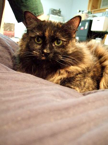 ddb 20060114 010-004