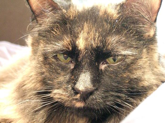 ddb 20060114 010-005