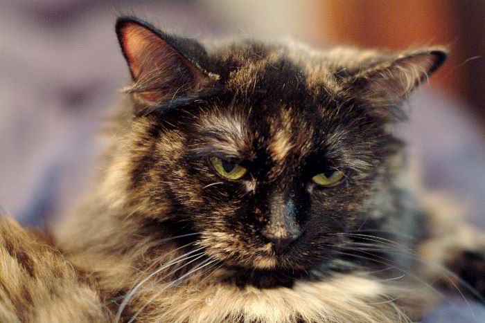 ddb 20060114 010-032