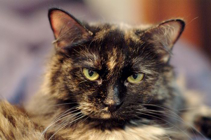 ddb 20060114 010-036