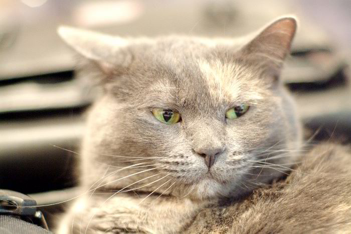 ddb 20060114 010-042