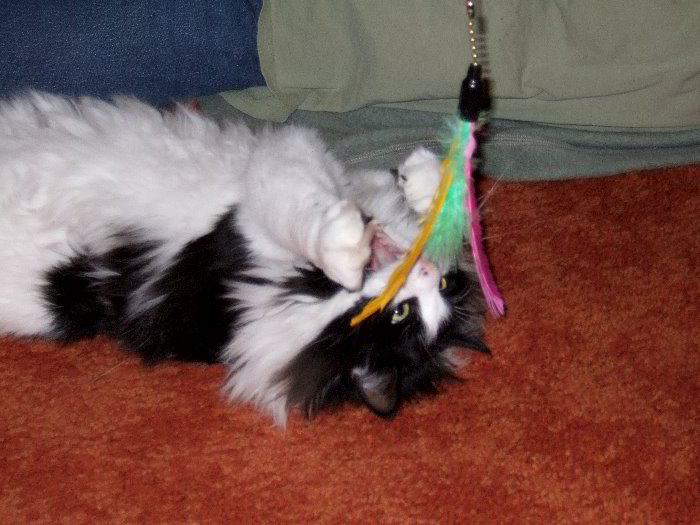 ddb 20060103 010-014