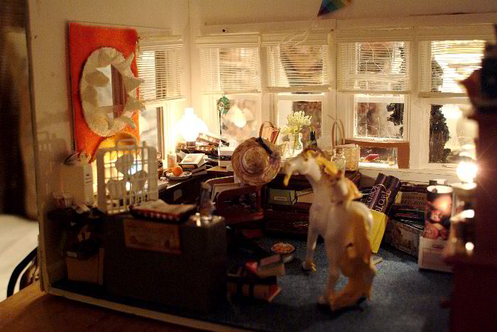 ddb 20060128 010-049