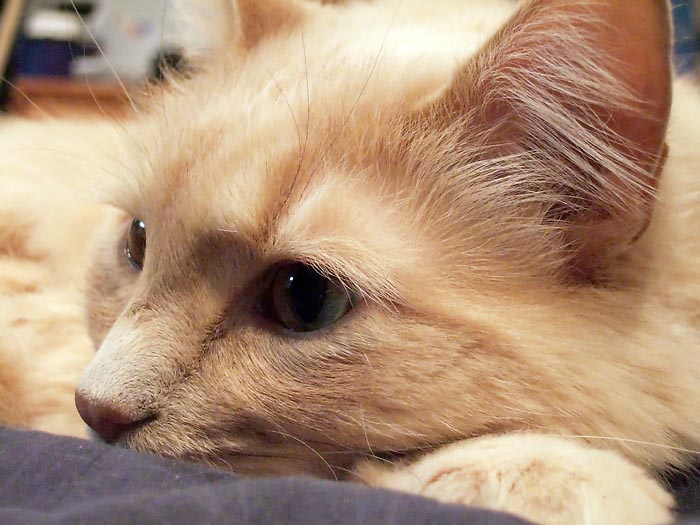 ddb 20060203 010-046