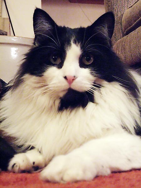 ddb 20060211 010-040