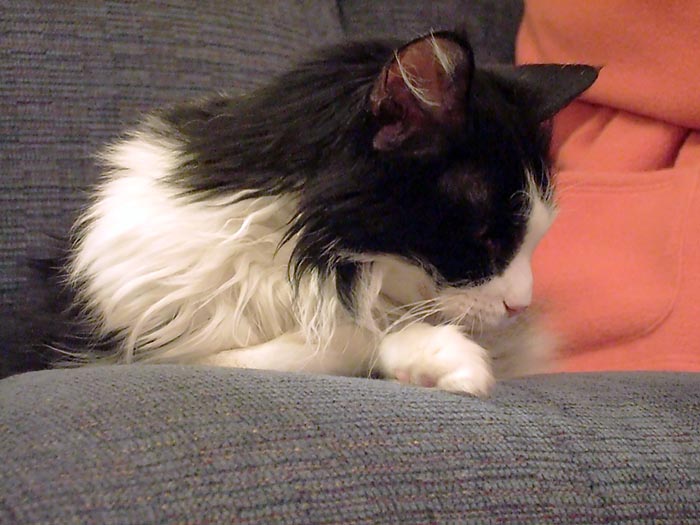 ddb 20060211 010-071