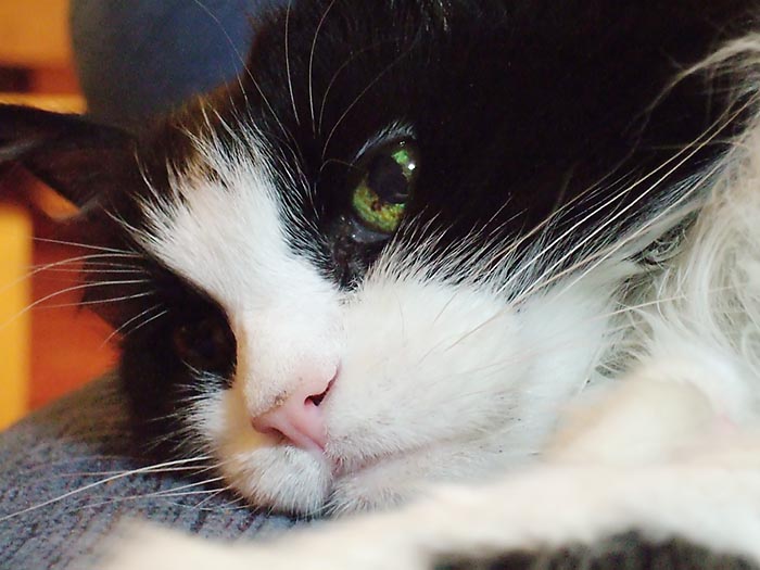 ddb 20060211 010-076