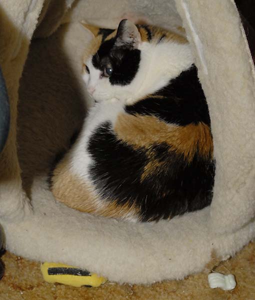 ddb 20060320 010-007