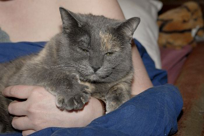 ddb 20060321 010-017