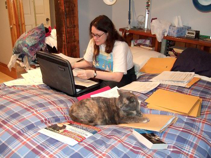 ddb 20060304 010-026