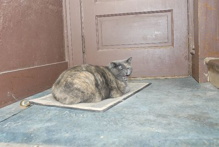 ddb 20060406 010-001