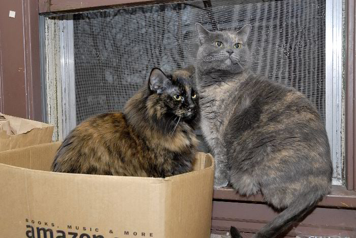 ddb 20060406 010-011