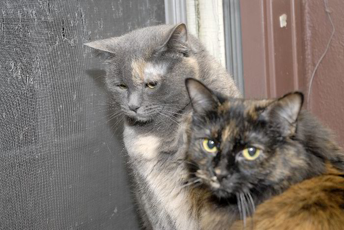 ddb 20060406 010-012