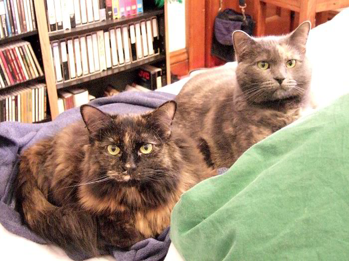 ddb 20060407 010-003