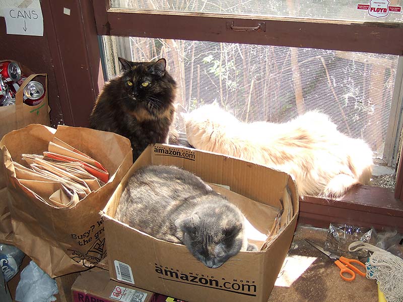 ddb 20060425 010-004