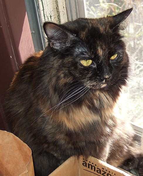 ddb 20060425 010-006