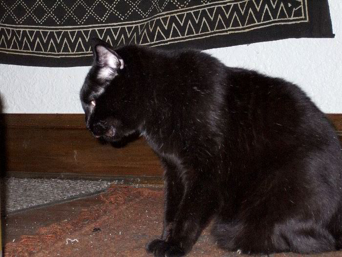 ddb 20060411 010-009