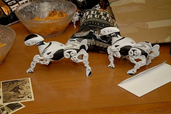 ddb 20060413 010-103