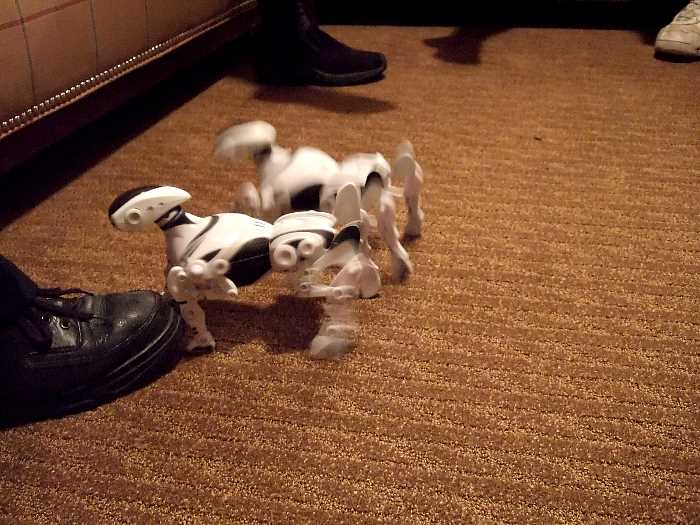 ddb 20060413 020-005