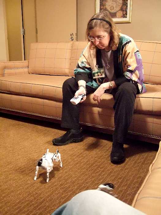 ddb 20060413 020-018