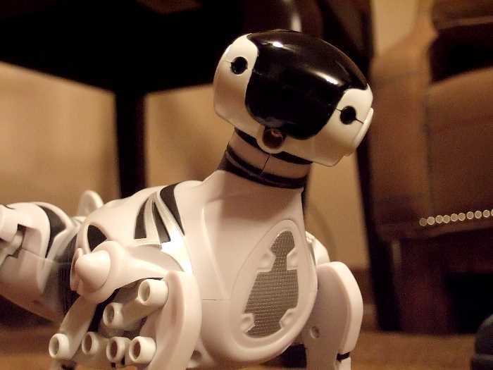 ddb 20060413 020-047