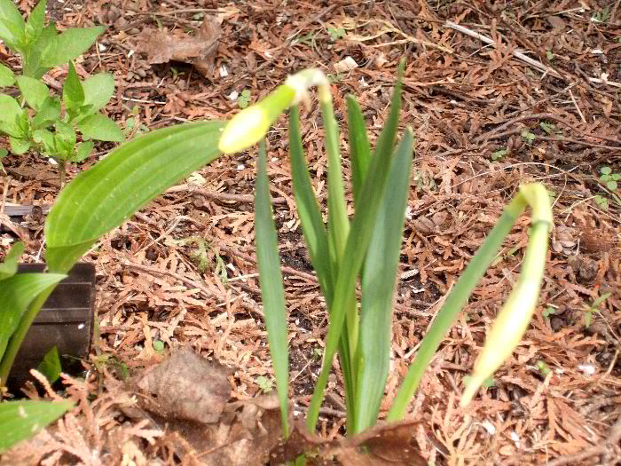 pddb 20060421 010-004