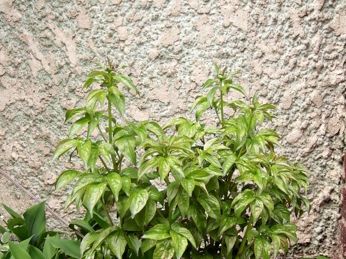 pddb 20060421 010-006