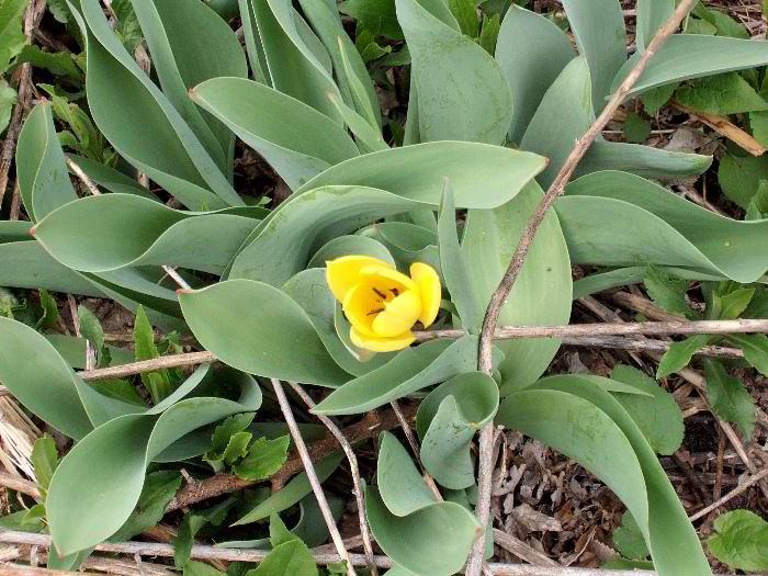 pddb 20060421 010-016