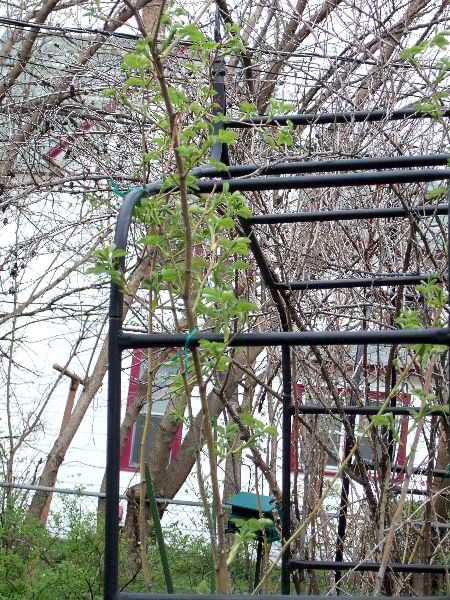 pddb 20060421 010-017