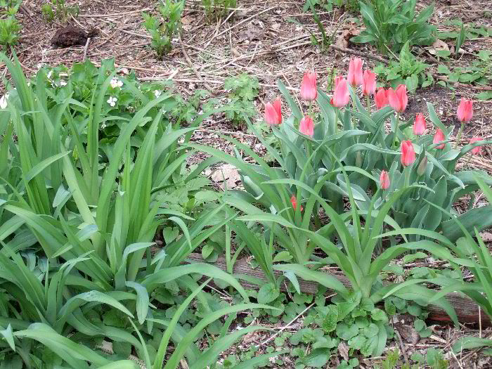 pddb 20060421 010-023