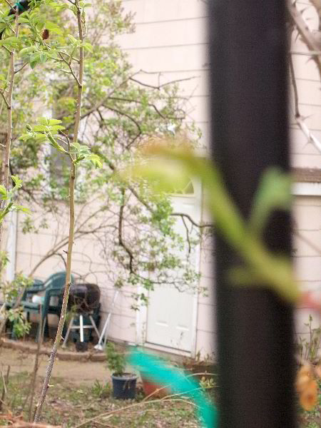 pddb 20060421 010-024