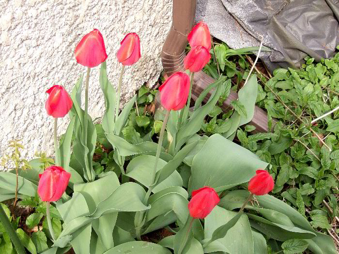 pddb 20060421 010-027