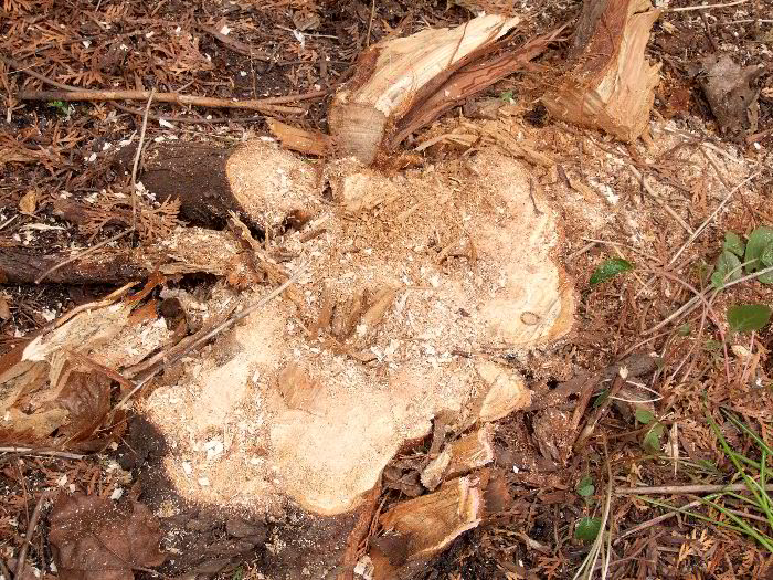 pddb 20060421 010-034