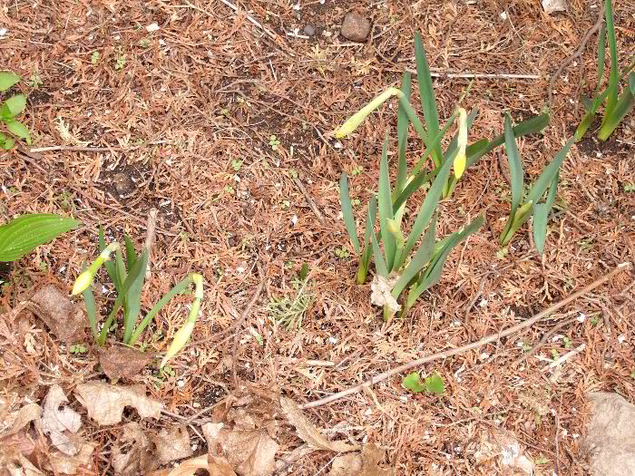 pddb 20060421 010-035