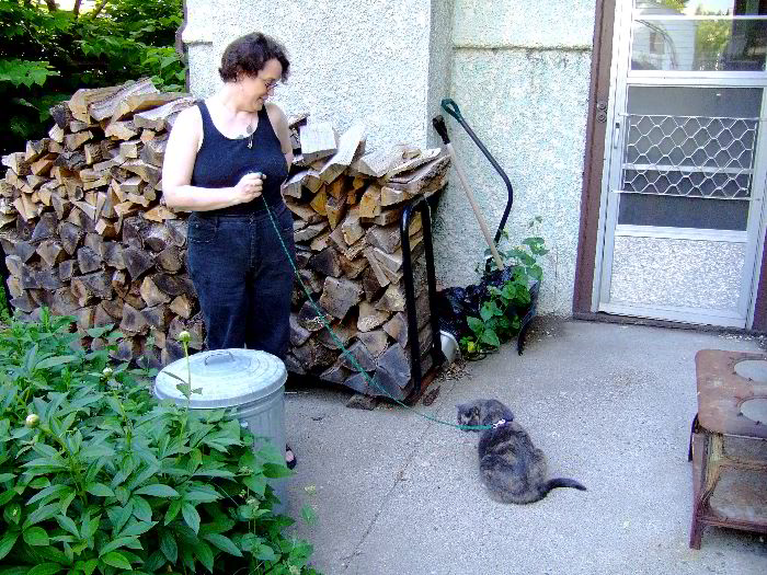 ddb 20060531 010-007