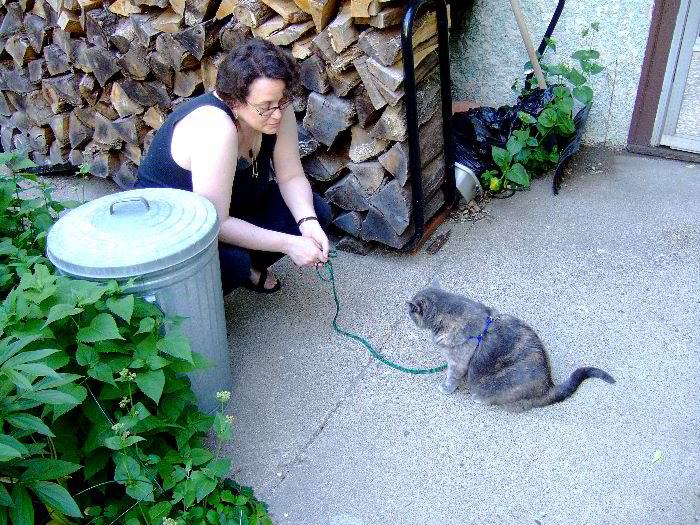 ddb 20060531 010-011