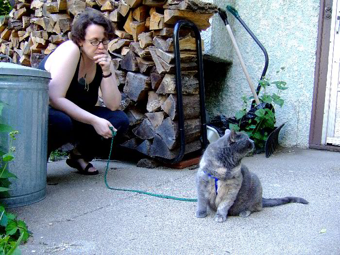 ddb 20060531 010-014