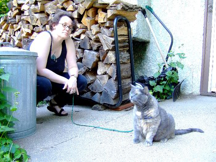 ddb 20060531 010-017