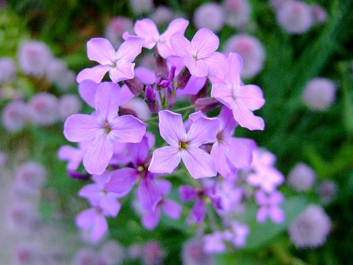 ddb 20060531 010-018