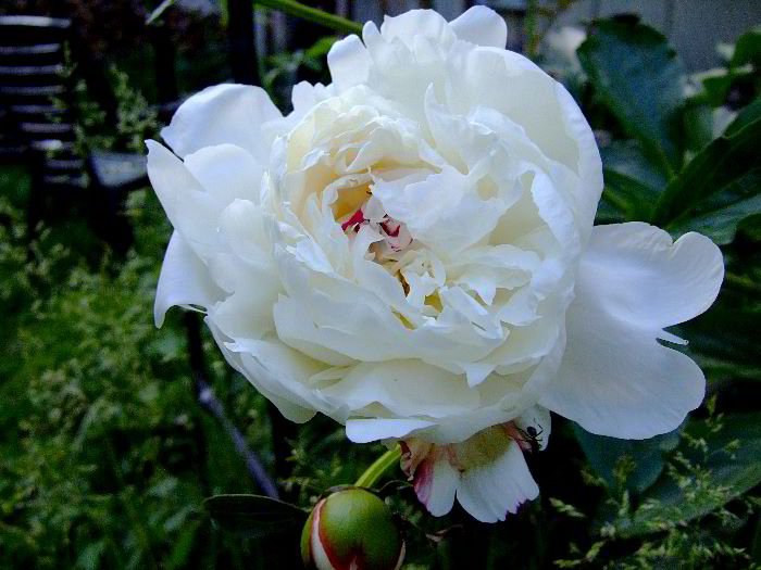 ddb 20060531 010-020