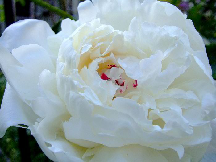 ddb 20060531 010-022