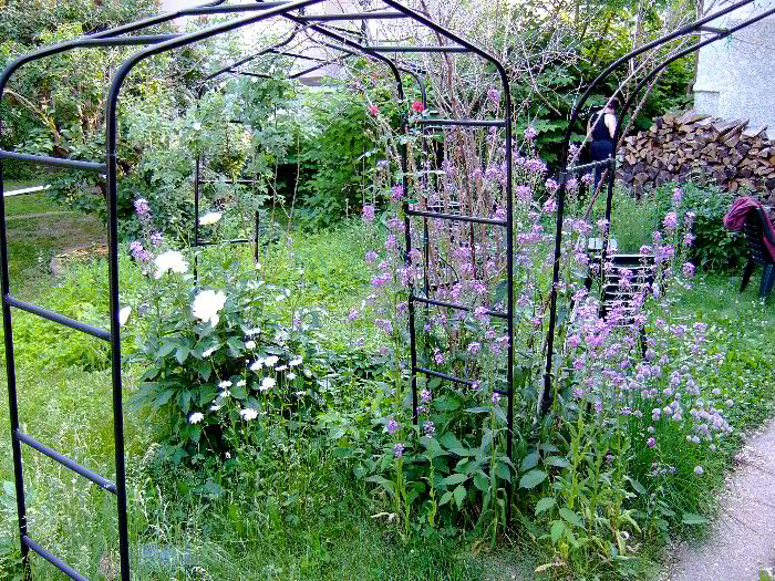 ddb 20060531 010-027