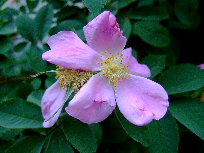 ddb 20060531 010-033