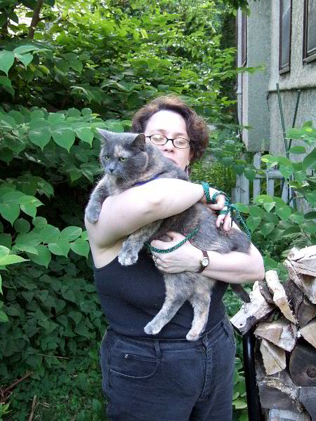 ddb 20060531 010-042