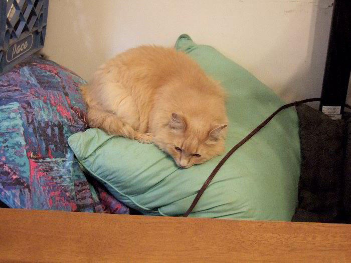 ddb 20060531 010-043